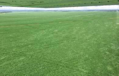 Imagem 2: VENDO FAZENDA EM NOVA MARINGA MT. 08 ANOS PARA PAGAR