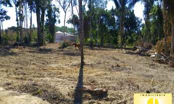 Imagem 4: Vende-se chácara Com 2 alqueires 48.400 m², 5 km do Machado Super Center