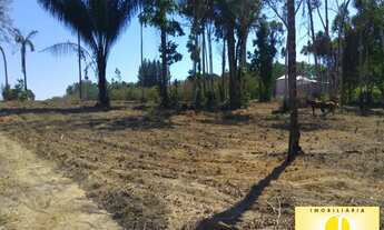 Imagem 5: Vende-se chácara Com 2 alqueires 48.400 m², 5 km do Machado Super Center