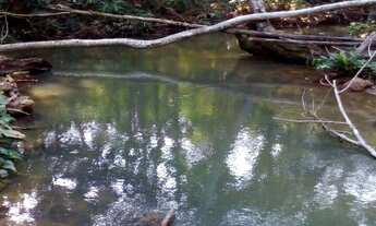 Imagem 6: Vende-se chácara Com 2 alqueires 48.400 m², 5 km do Machado Super Center