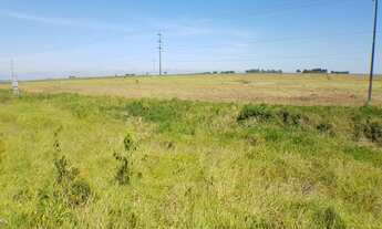 Imagem 4: Vende-se junto ou separadamente 4 chácaras de 7,26 hec cada uma em frente a BR 163, em Sin