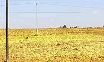 Imagem 5: Vende-se junto ou separadamente 4 chácaras de 7,26 hec cada uma em frente a BR 163, em Sin