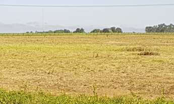 Imagem 7: Vende-se junto ou separadamente 4 chácaras de 7,26 hec cada uma em frente a BR 163, em Sin