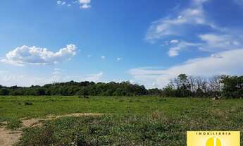 Imagem: CHACARA para Venda tendo 10 alqueires, ou