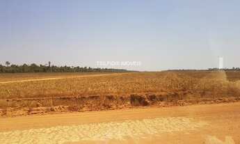 Imagem: 142 hectares, a 6 km de Sinop - MT