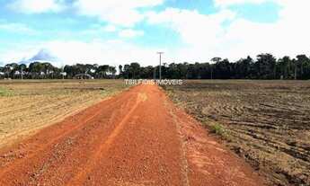 Imagem: Vende-se chácara com área total de 6.000