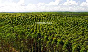 Imagem 4: Vende-se fazendas no PR e MT