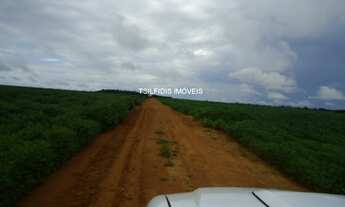 Imagem: Vende-se fazendas no PR e MT