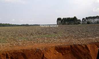 Imagem 5: Vende-se fazendas no PR e MT