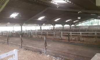 Imagem: Vende-se excelente Sítio com 23 Alqueires