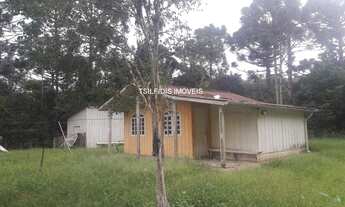 Imagem 3: Vende-se excelente Sítio com 23 Alqueires - 563.500 m² Campo Largo - PR