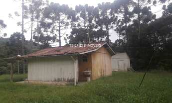 Imagem 4: Vende-se excelente Sítio com 23 Alqueires - 563.500 m² Campo Largo - PR