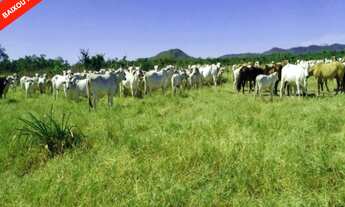 Imagem: VENDE-SE FAZENDA de 1.475 Ha, ou 305 alq.go.