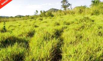 Imagem: VENDE-SE FAZENDA 1.182 Hectares, ou 244