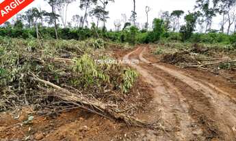 Imagem: Vende-seFazenda á venda em Feliz Natal