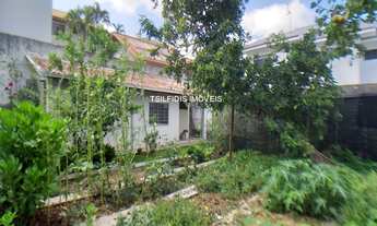 Imagem: Vende-se terreno no Bairro Estrela, Ponta