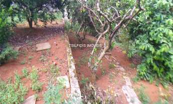 Imagem: Vende-se terreno no Bairro Estrela, Ponta