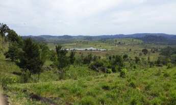 Imagem: Vende-se em Nova Monte Verde, 1.000 alqueires