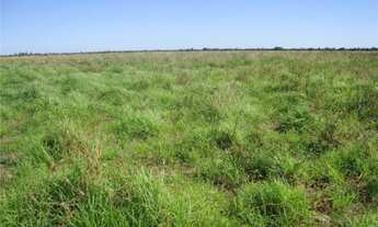 Imagem: VENDE-SE / PERMUTA-SE FAZENDA EM TOCANTIS