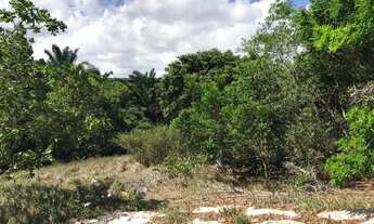 Imagem: TERRENO RESIDENCIAL em CAMAÇARI - BA, CATU