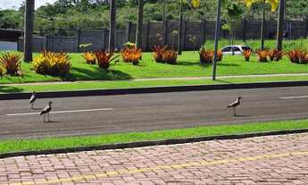 Imagem 5: TERRENO RESIDENCIAL em CAMAÇARI - BA, VERENA