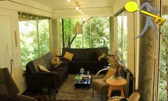 Imagem 4: Vendo Serra da Cantareira Parque Imperial - ZN/SP