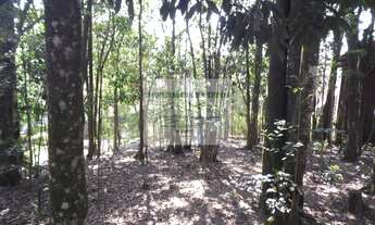 Imagem 5: Casa no Alpes da Cantareira: 3 quartos, 2 suítes, 4 salas, 6 banheiros, 3 vagas de garagem