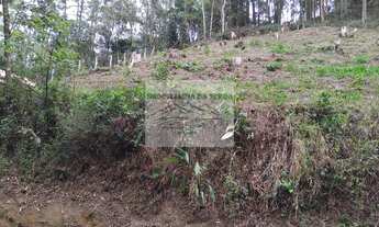 Imagem 2: Terreno de 1.300m² em condomínio na Serra da Cantareira, Mairiporã-SP: sua oportunidade de