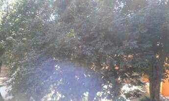 Imagem 2: CASA RESIDENCIAL em SÃO PAULO - SP, VILA TERESINHA