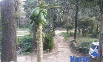 Imagem 7: TERRENO COMERCIAL em SÃO PAULO - SP, JARDIM MARILU