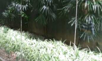 Imagem 6: SALA COMERCIAL em SÃO PAULO - SP, BELA VISTA