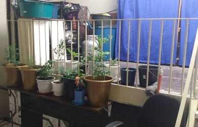 Imagem 5: CASA RESIDENCIAL em SÃO PAULO - SP, JARDIM PERI