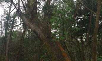 Imagem 7: CASA RESIDENCIAL em SÃO PAULO - SP, VILA ADALGISA