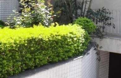 Imagem 4: CASA RESIDENCIAL em SÃO PAULO - SP, VILA PEDRA BRANCA