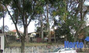 Imagem 3: TERRENO RESIDENCIAL em SÃO PAULO - SP, BARRO BRANCO (ZONA NORTE