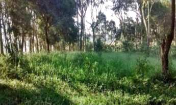 Imagem 2: Área Industrial à venda na Vargem Grande Paulista - SP com 27.500 m²