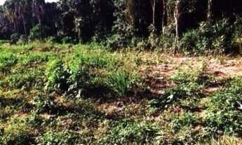 Imagem 5: Área Industrial à venda na Vargem Grande Paulista - SP com 27.500 m²