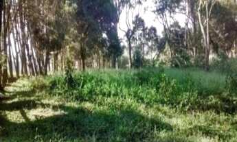 Imagem 6: Área Industrial à venda na Vargem Grande Paulista - SP com 27.500 m²