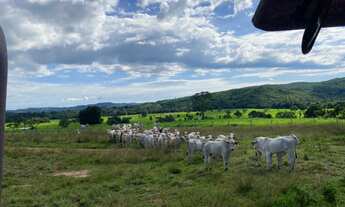 Imagem: Fazenda Venda, 214 alqueires, Iporá Goiás