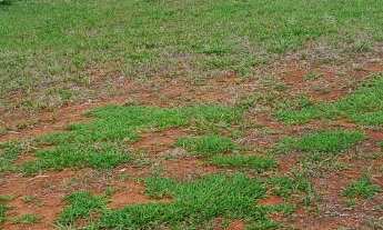 Imagem 3: Lote Terreno Venda, Vendo 360m² Condomínio Terras Alpha 1, Senador Canedo