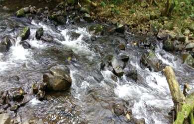 Imagem 3: Sítio entre Três Coroas e Gramado com 1,6 ha