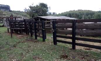 Imagem 5: Sitio RURAL em Pinheiro Machado - RS, Zona Rural