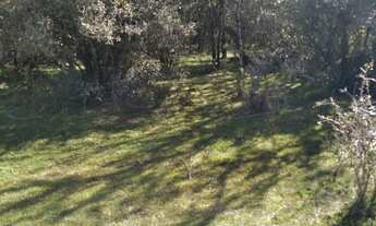 Imagem 5: Sitio RESIDENCIAL em Bagé - RS, Palmas