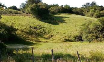 Imagem 3: Sitio RURAL em Pinheiro Machado - RS, Zona Rural