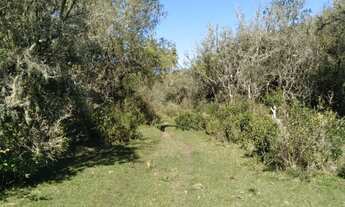 Imagem 7: Sitio RESIDENCIAL em Bagé - RS, Palmas