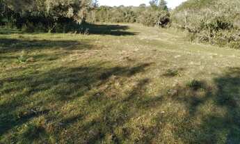 Imagem 2: Sitio RESIDENCIAL em Bagé - RS, Palmas