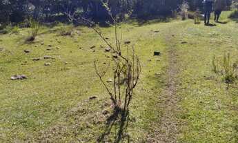 Imagem 6: Sitio RESIDENCIAL em Bagé - RS, Palmas