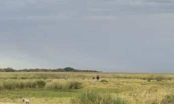 Imagem: SITIO RURAL em Aceguá - RS, Passo do Cemitério