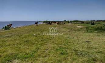 Imagem: FAZENDA RURAL em Pelotas - RS, Marambaia