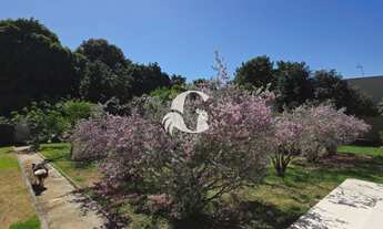 Imagem 5: Chácara à Venda em Mogi Mirim-SP, Bairro Chácara São Marcelo